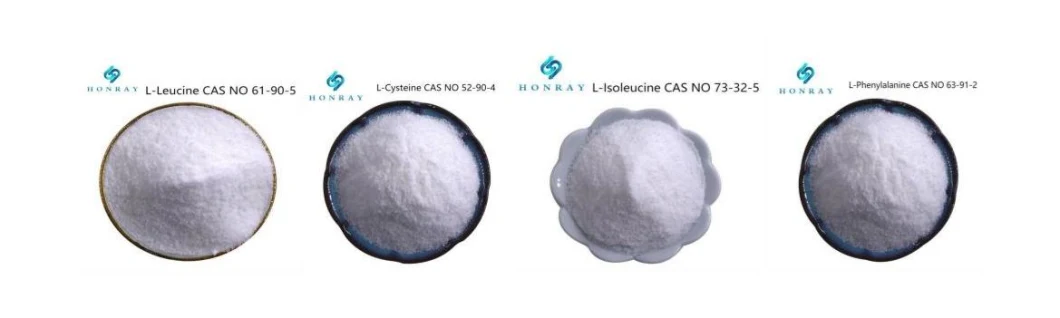 Food Additives L-Cysteine Powder CAS 52-90-4 Amino Acid